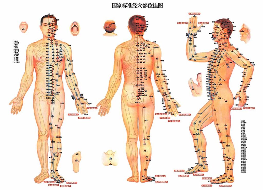 Médecine Chinoise